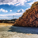 Kapak Fotoğrafları